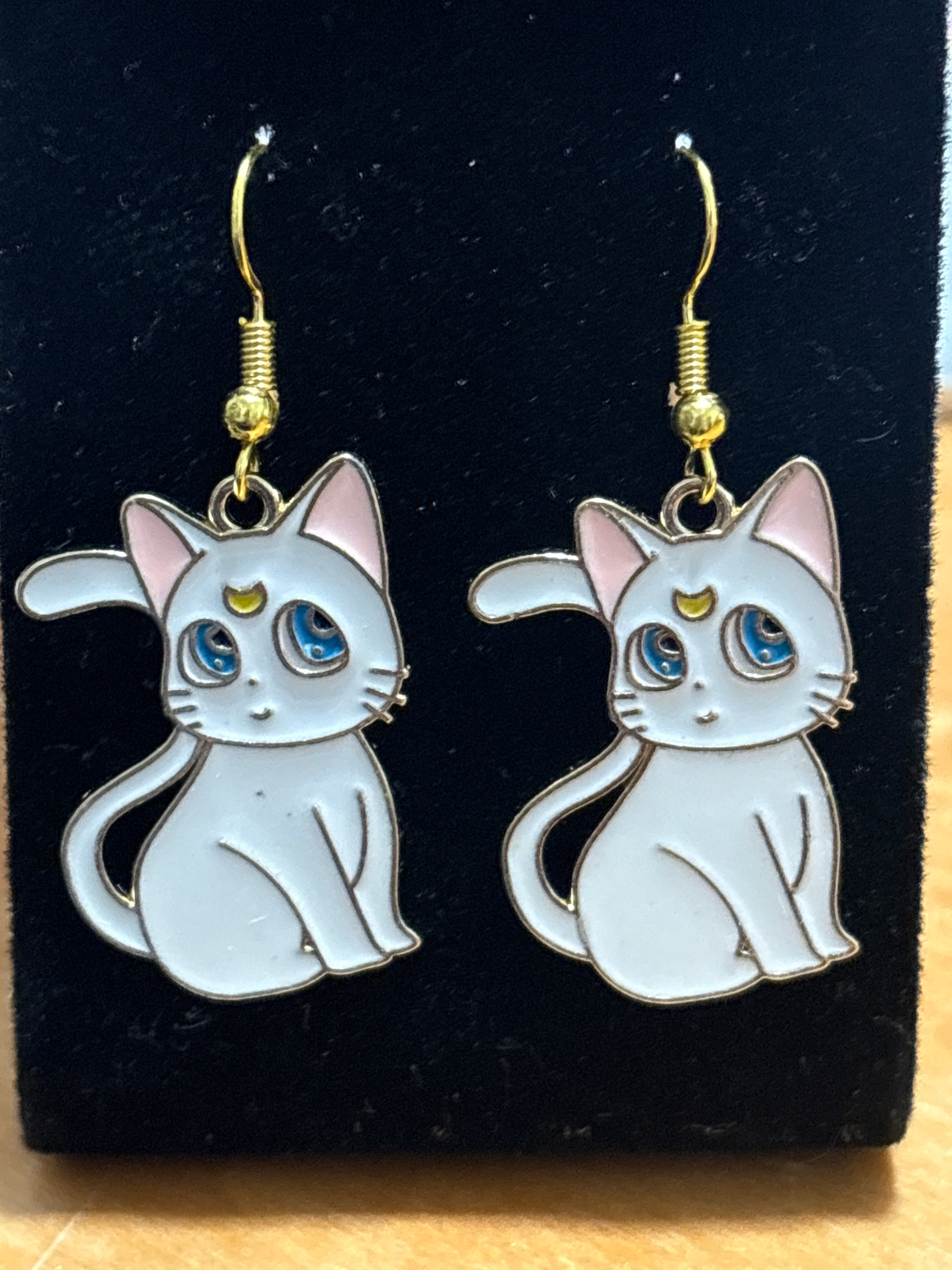Luna and Artemis The Cat