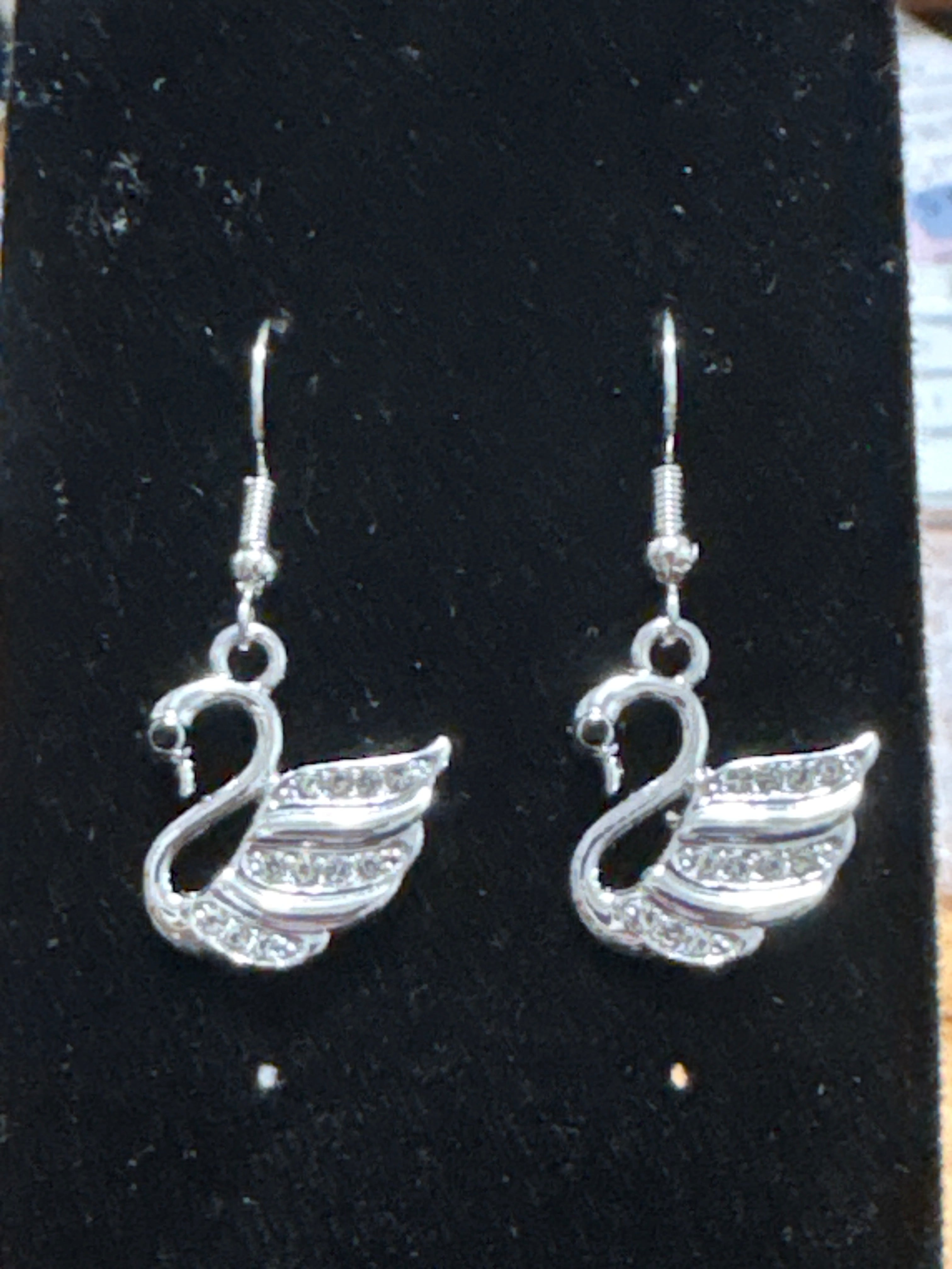 Silver Swans a Swimming